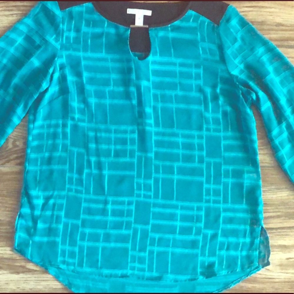 Dana Buchman Sheer Blouse